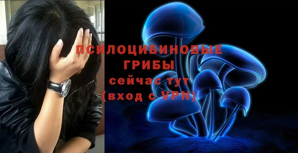 амфетамин Краснослободск